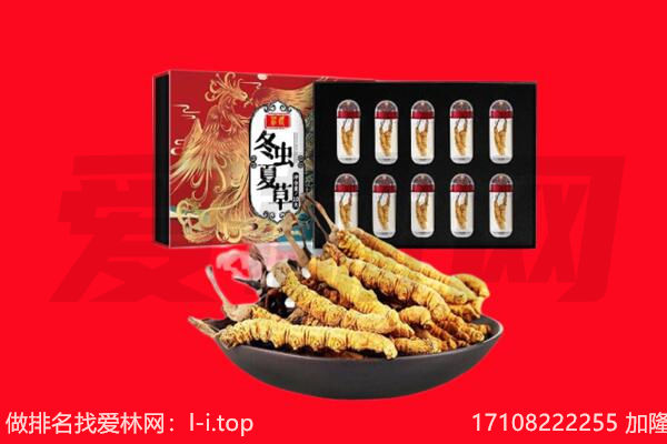 涪陵区回收虫草.jpg